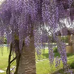 Casavacanze Sant'eugenia Apartahotel Attigliano