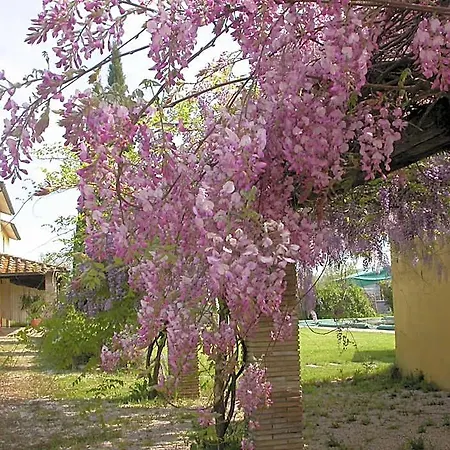 Casavacanze Sant'eugenia 3* Attigliano