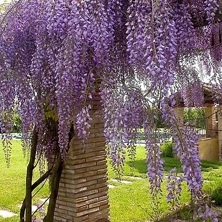 Casavacanze Sant'eugenia Attigliano